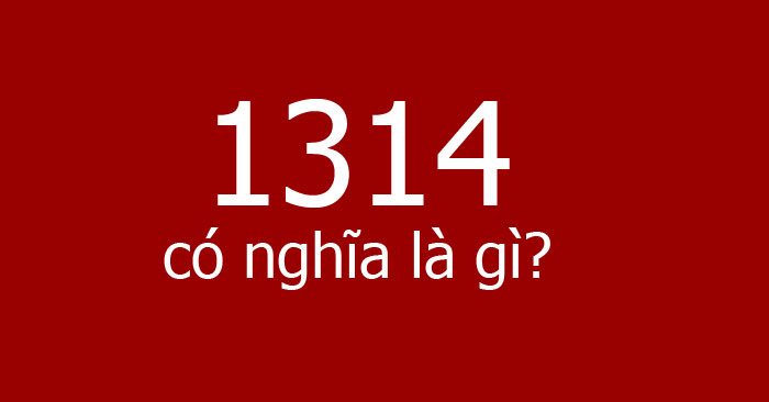 1314 la gi 700