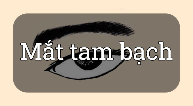 Mắt tam bạch là gì? Vận số người có mắt tam bạch ra sao? 13 Mat tam bach la gi Van so nguoi co mat