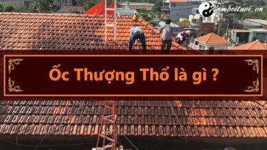 Menh Oc Thuong Tho nghia la gi Sinh nam bao