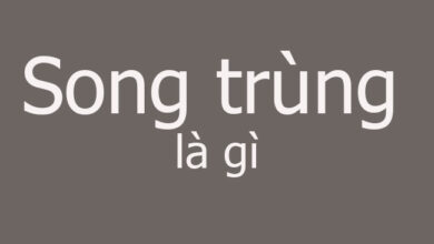 Song trung la gi Cmmeduvn