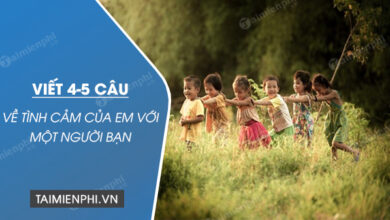 Viet 4 – 5 cau ve tinh cam cua em