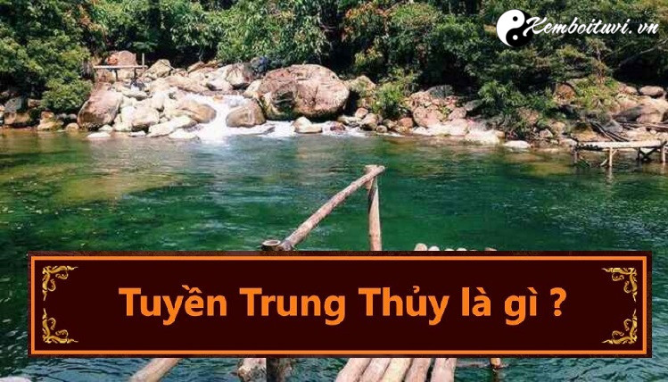 menh tuyen trung thuy nghia la gi 1