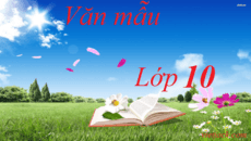 van mau lop 10 logo