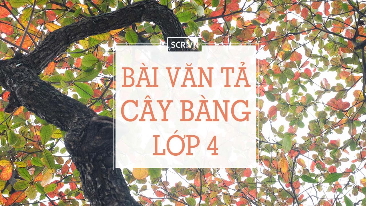 bai van ta cay bang lop 4