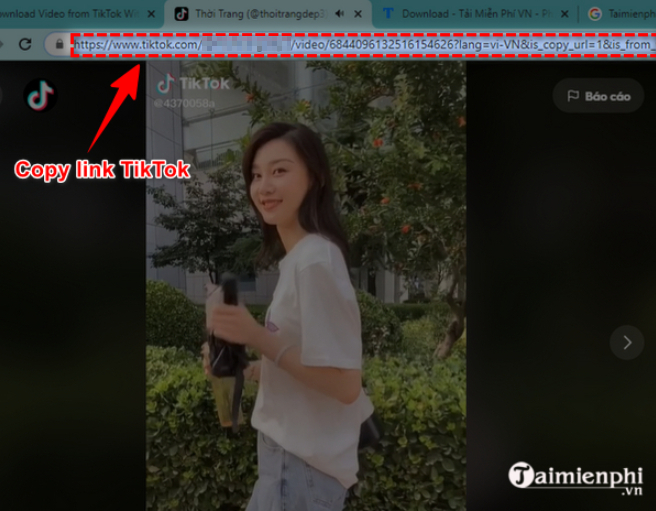 Cách tải video TikTok về máy tính