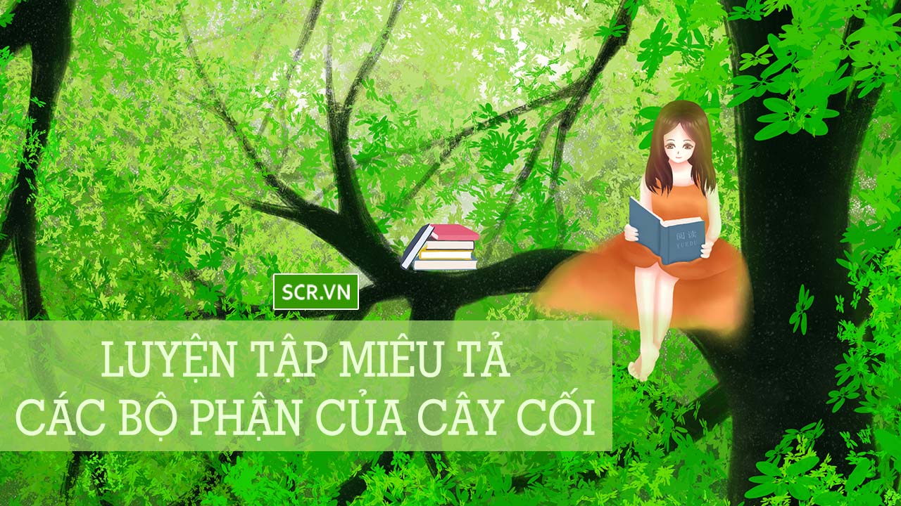 luyen tap mieu ta cac bo phan cua cay coi