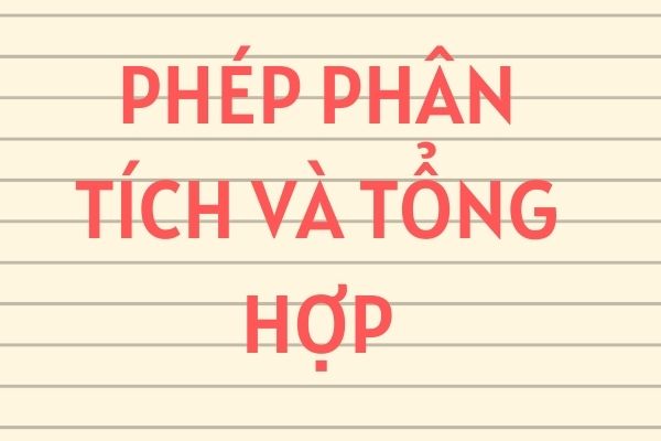 Phép Phân Tích Và Tổng Hợp Là Gì? - Vai Trò Khi Làm Bài Văn - Thư viện khoa học