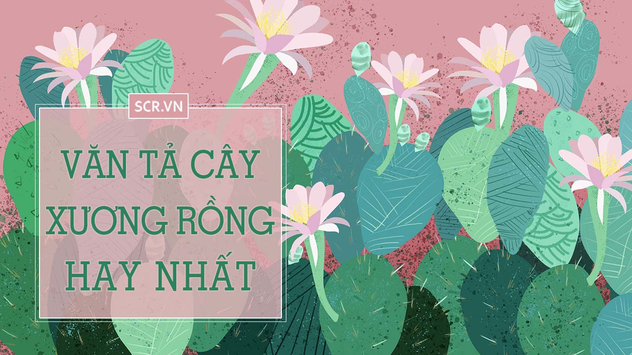 ta cay xuong rong