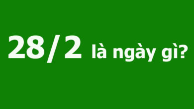 282 la ngay gi Cmmeduvn