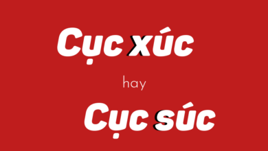 Cuc Suc Hay Cuc Xuc Moi dung Chinh Ta Cach