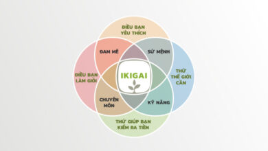 Ikigai La Gi 4 Yeu To de Tim Ra Ikigai