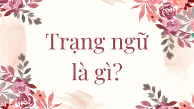 Trang Ngu La Gi 1 So Khai Niem Lien Quan