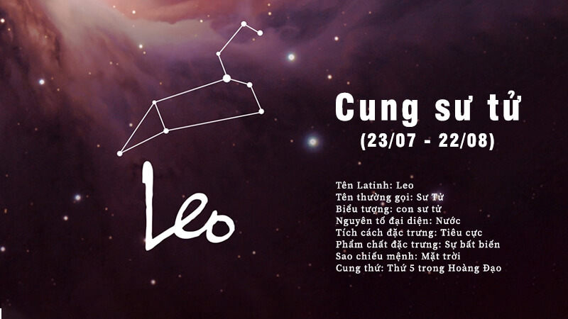 cung su tu Leo 1