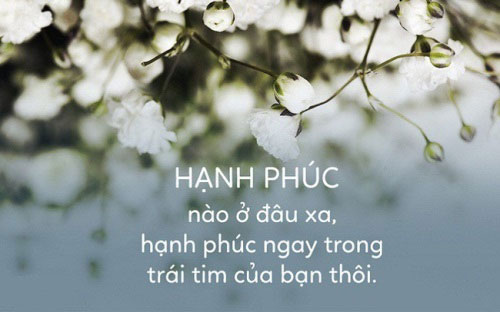 hanh phuc la gi 1