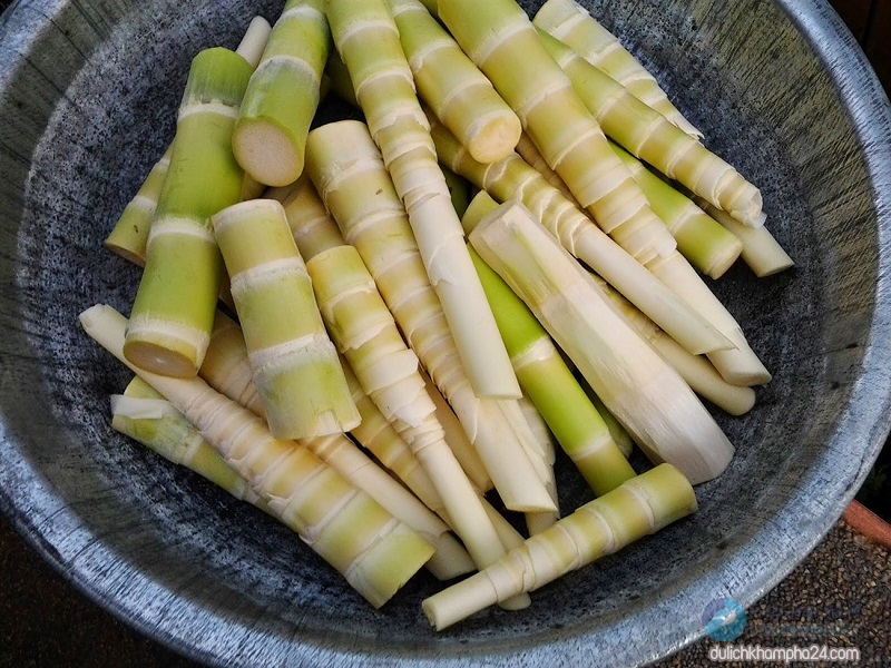 mang ngam Tam Dao