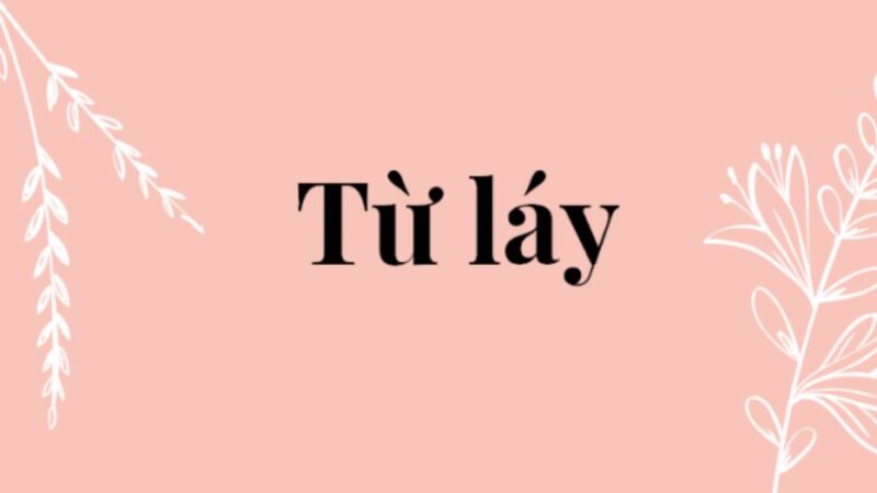 tu lay la gi 1