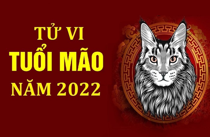 tu vi tuoi mao nam nham dan 2022 1