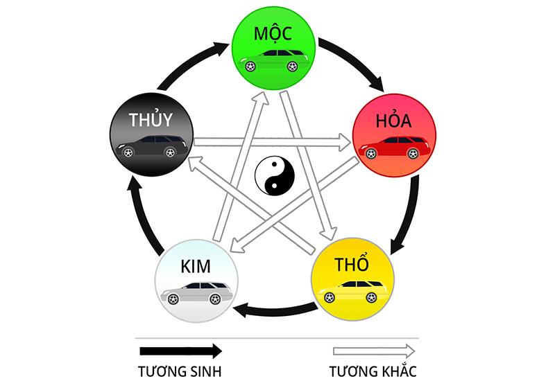 tuoi dan hop mau gi 05