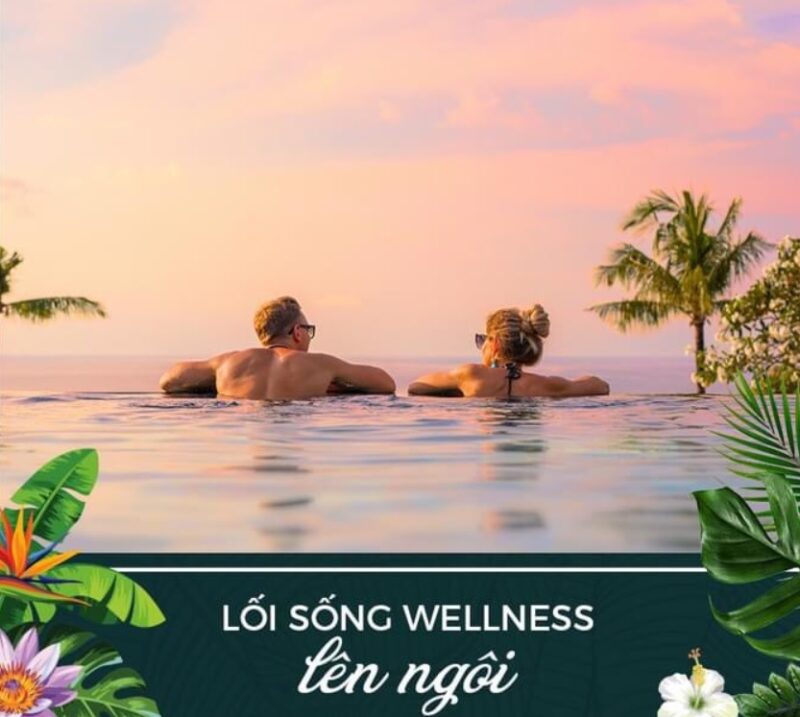 wellness la gi 8