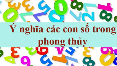 y nghia cac con so 700