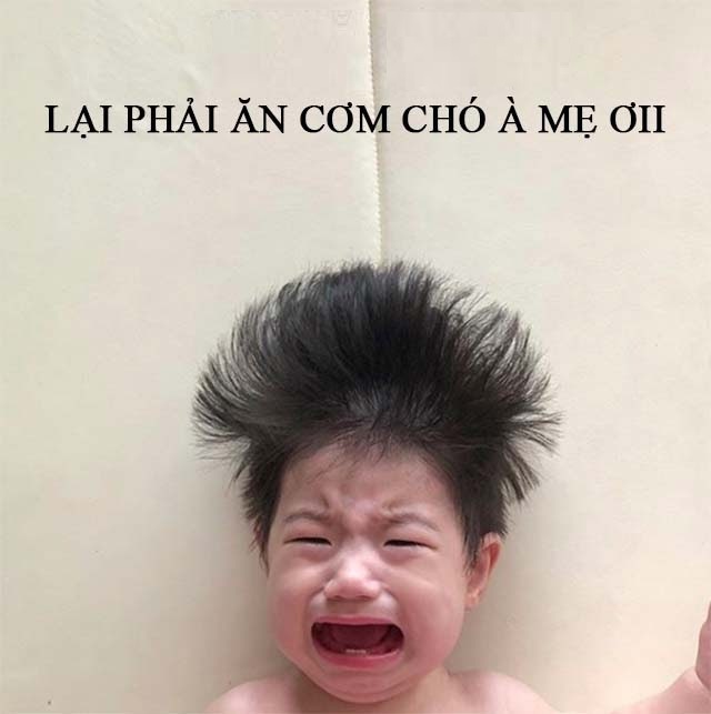 meme com cho 1